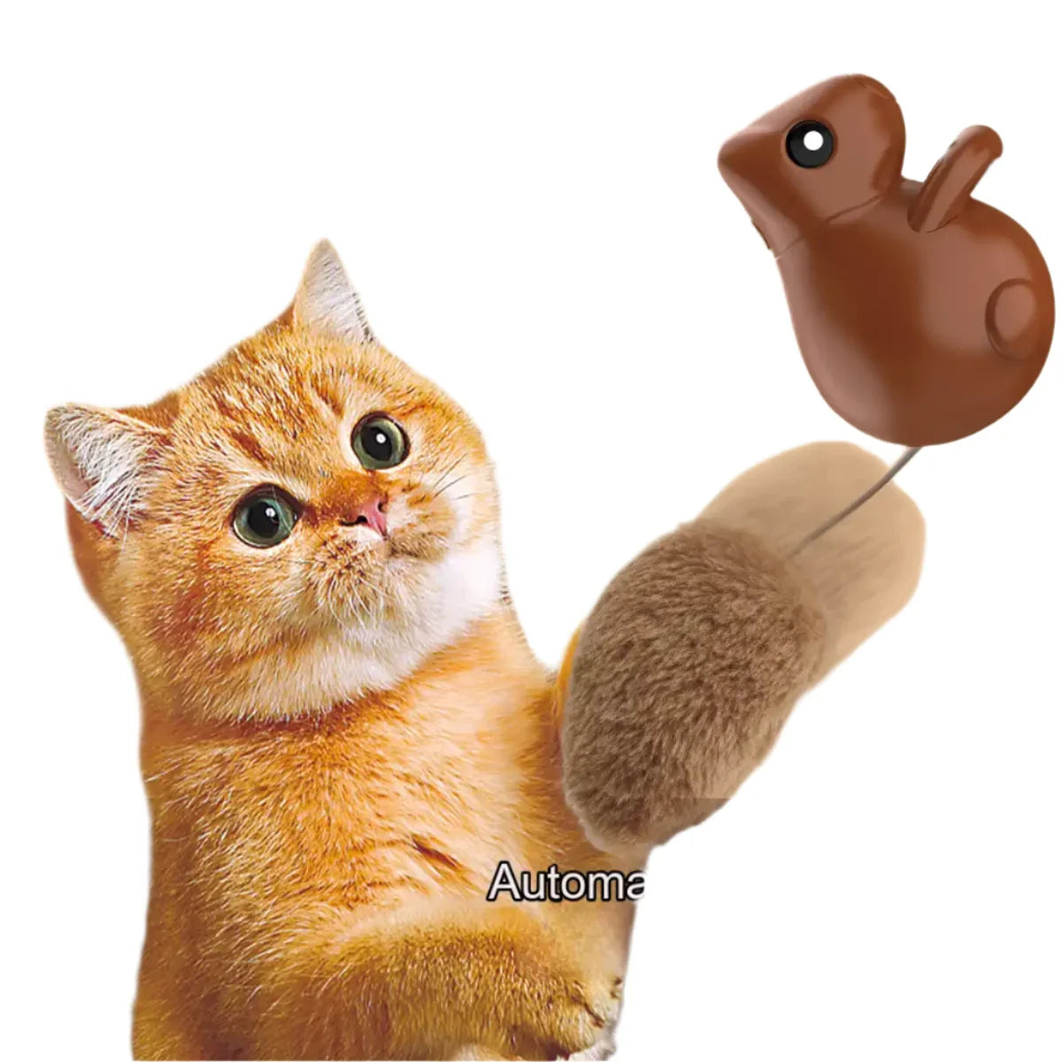MEACAOFG Automatic cat teaser squirrel toys self hi boredom teaser cat stick kitten cat toys electric smart cat toys with